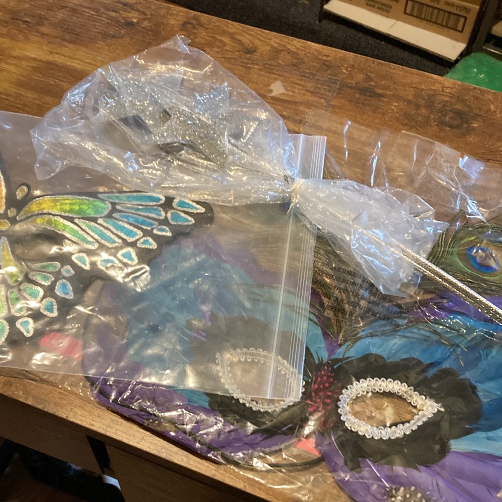 Two Mardi Gras mask's
